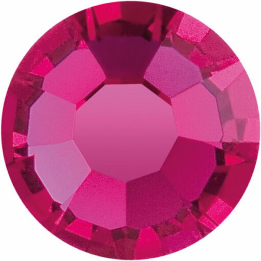 FUCHSIA FUCHSIA