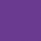 Flex Purple
