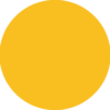 Flex Sunflower Yellow 106