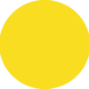 Flex Yellow 110